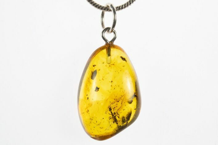 Polished Baltic Amber Pendant (Necklace) - Contains Ant! #311025